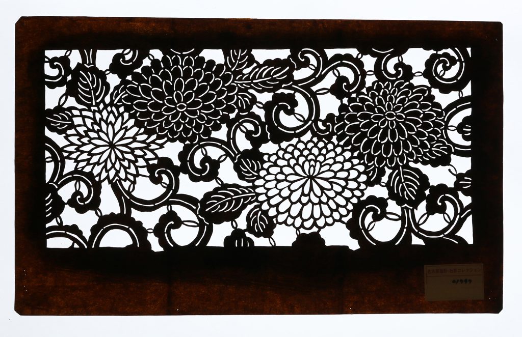 01797　菊唐草　星ﾅｼ