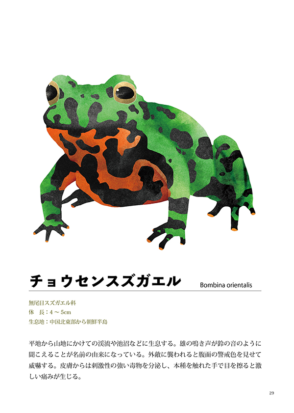 ハペ図鑑