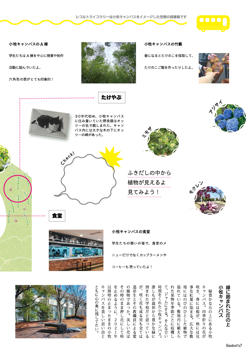 Basket`s  1号