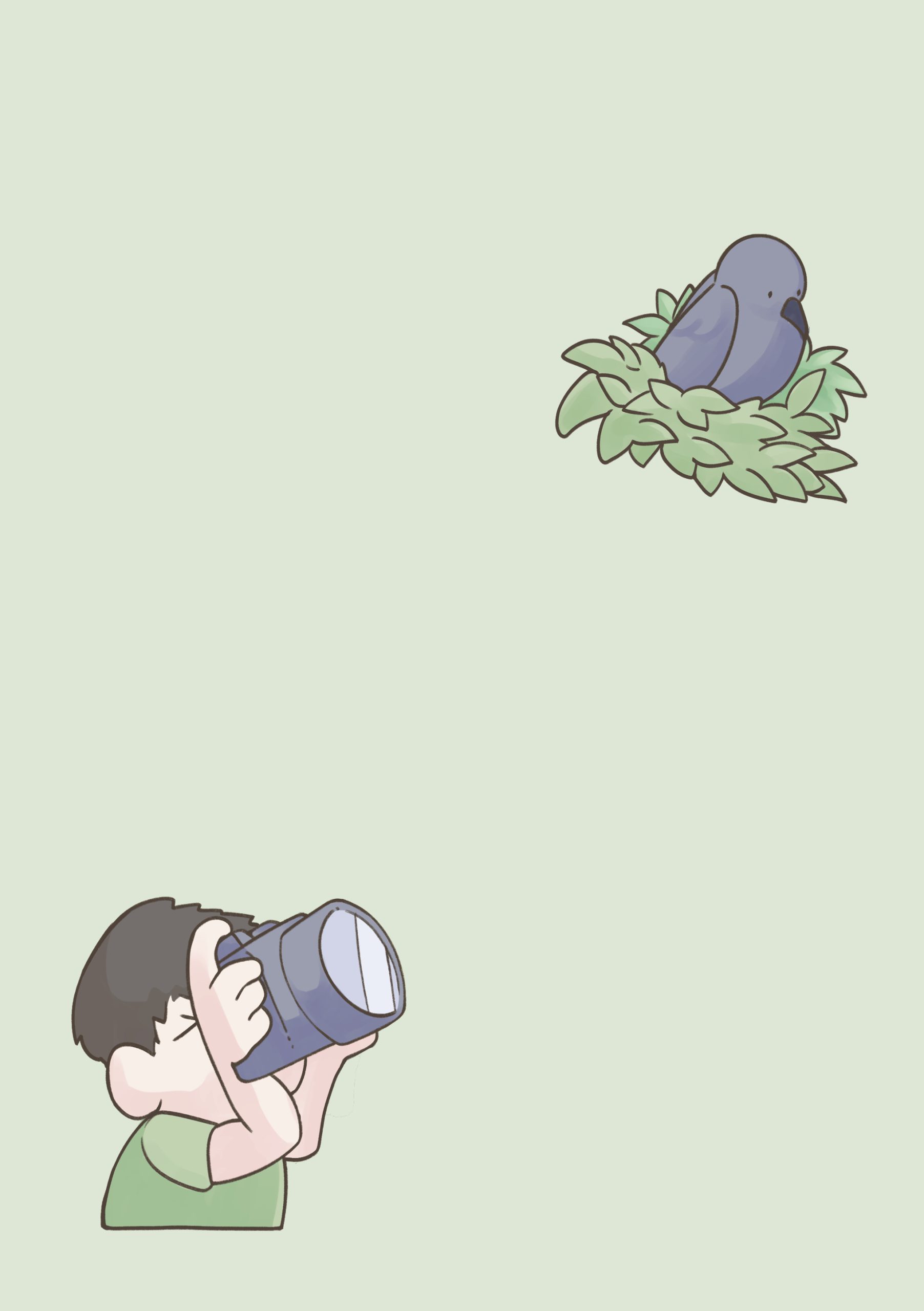 野鳥観察 ガイドブック