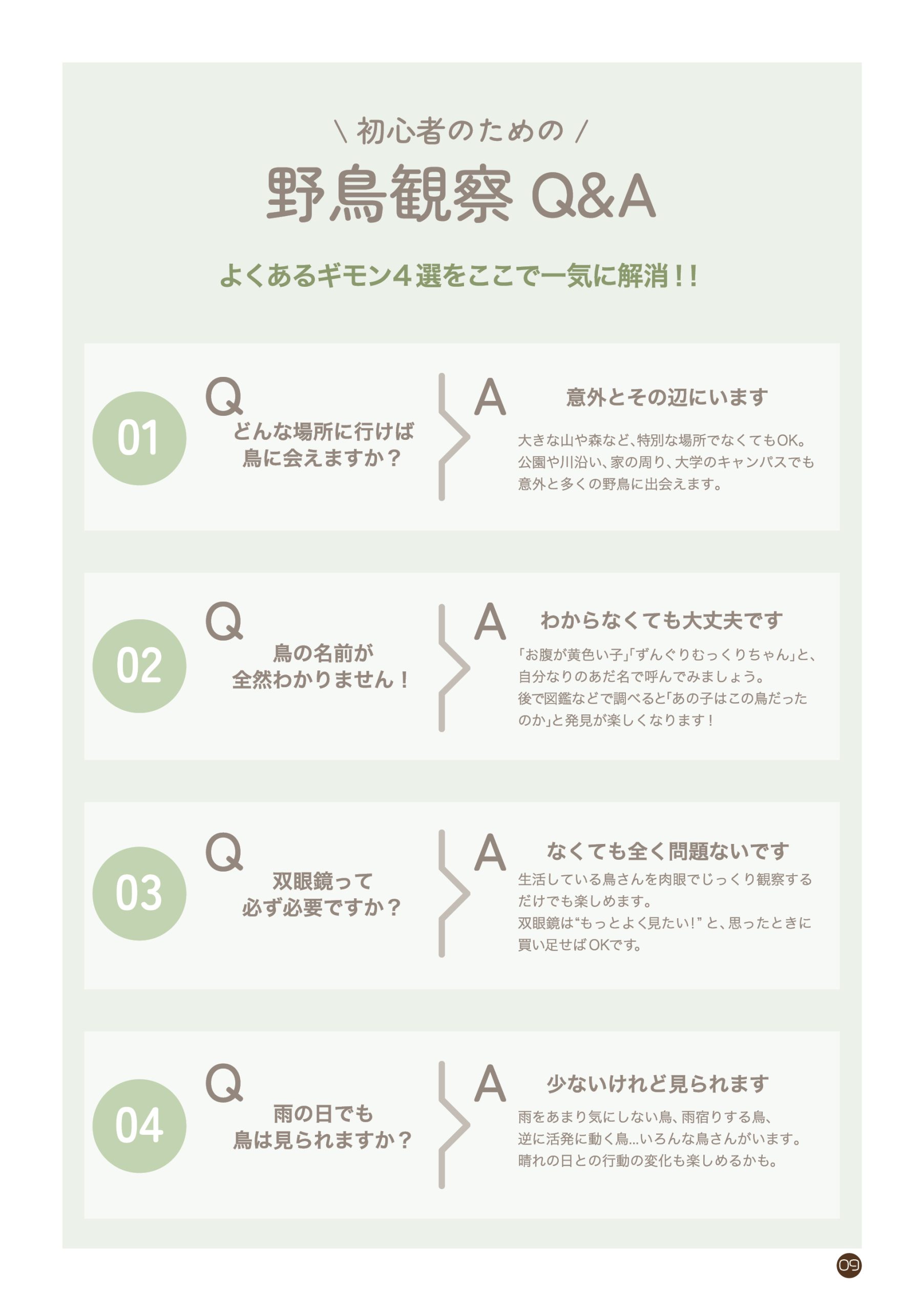 野鳥観察 ガイドブック