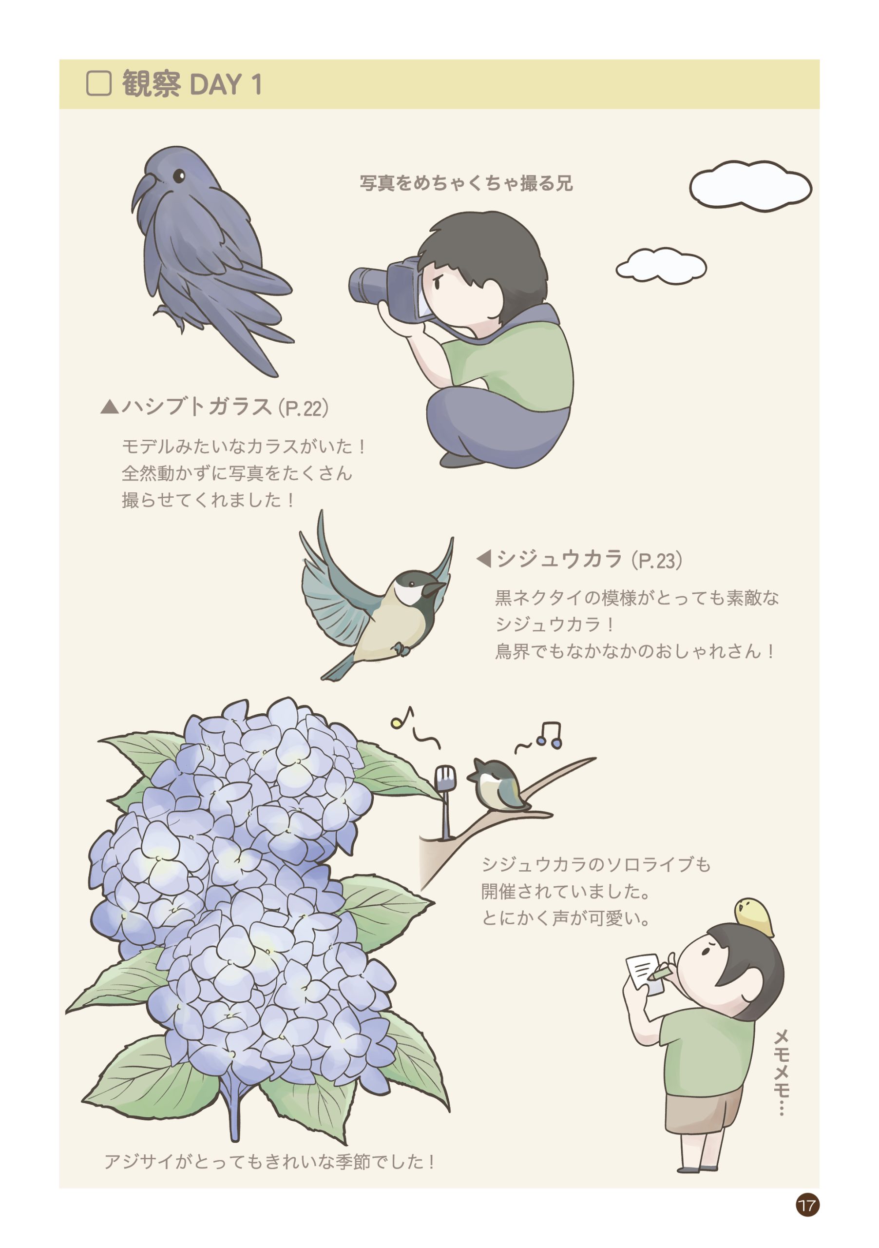 野鳥観察 ガイドブック