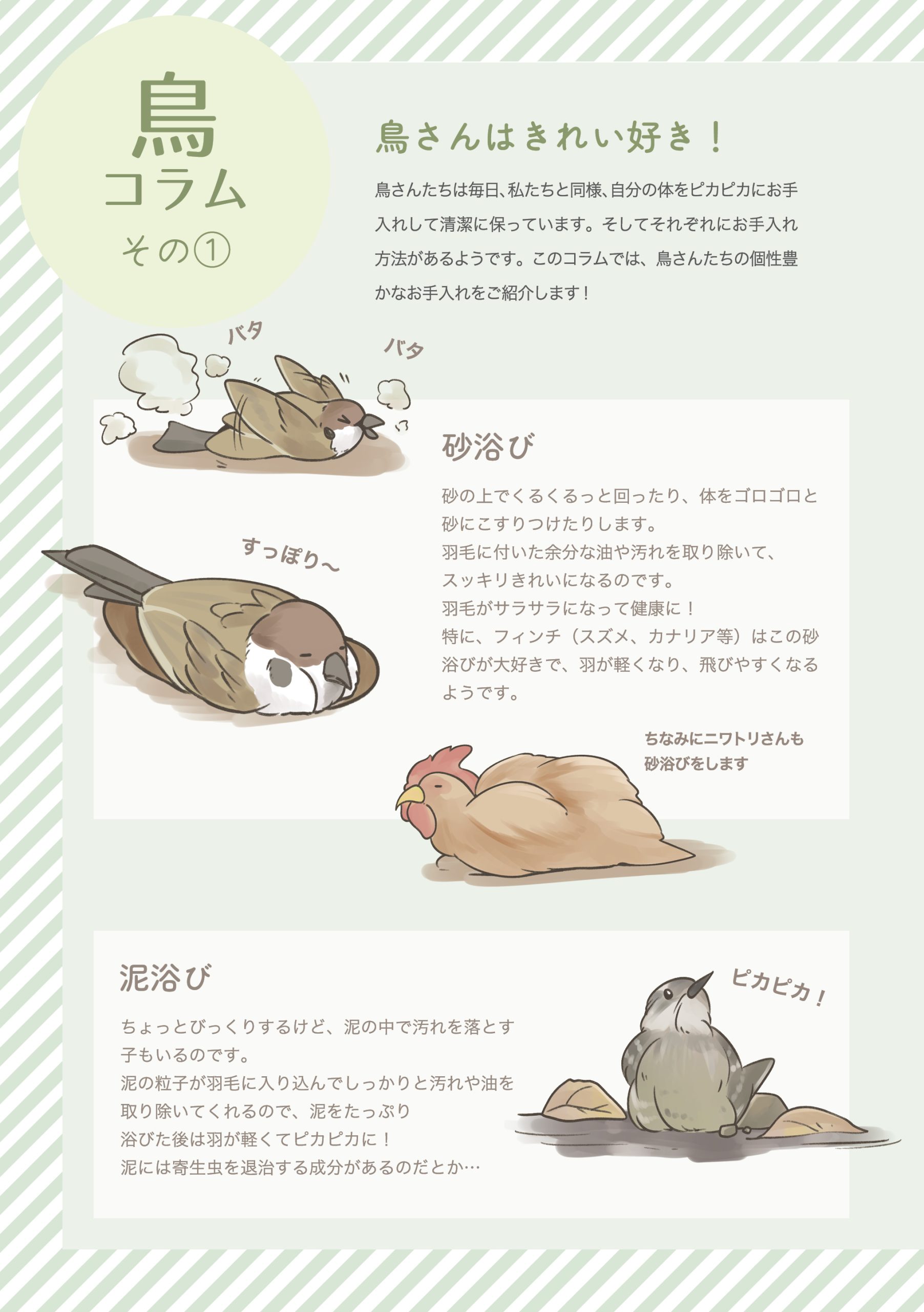 野鳥観察 ガイドブック