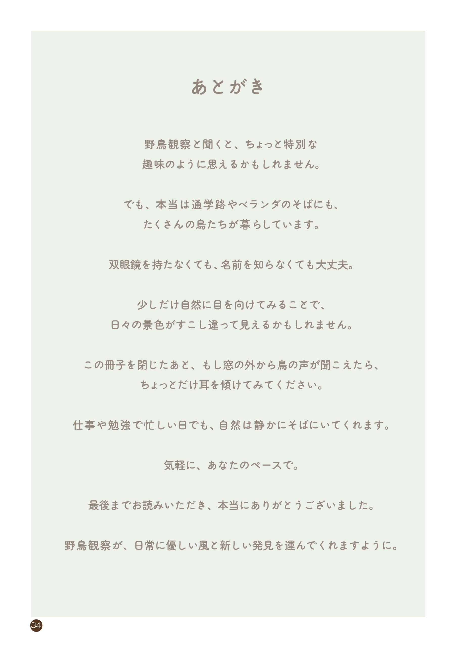 野鳥観察 ガイドブック