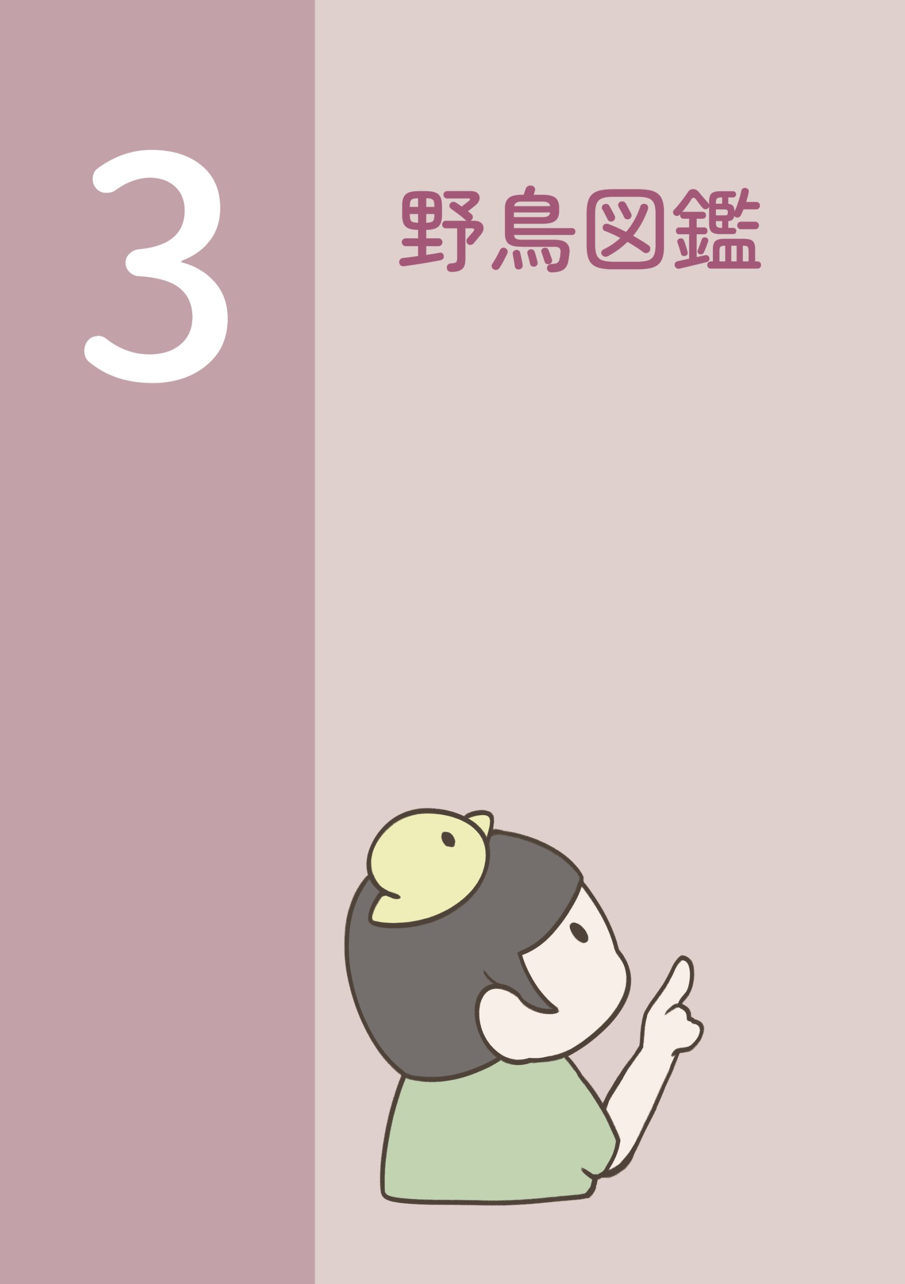 野鳥観察 ガイドブック