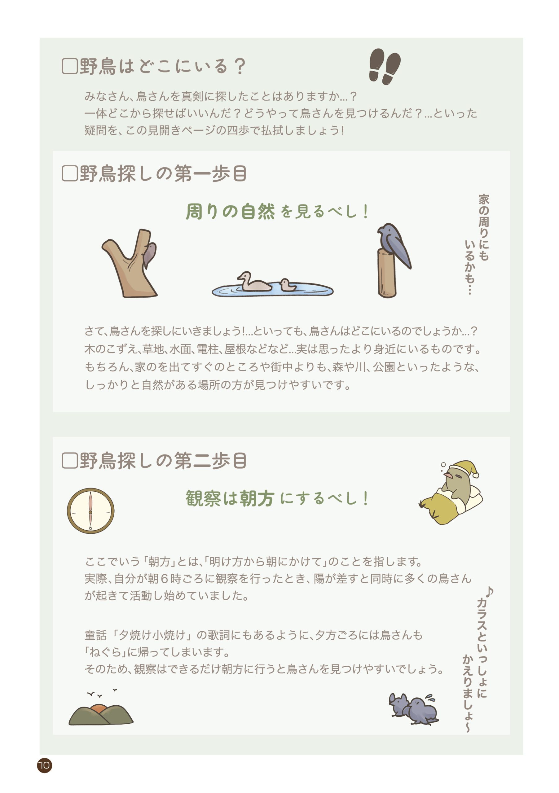 野鳥観察 ガイドブック