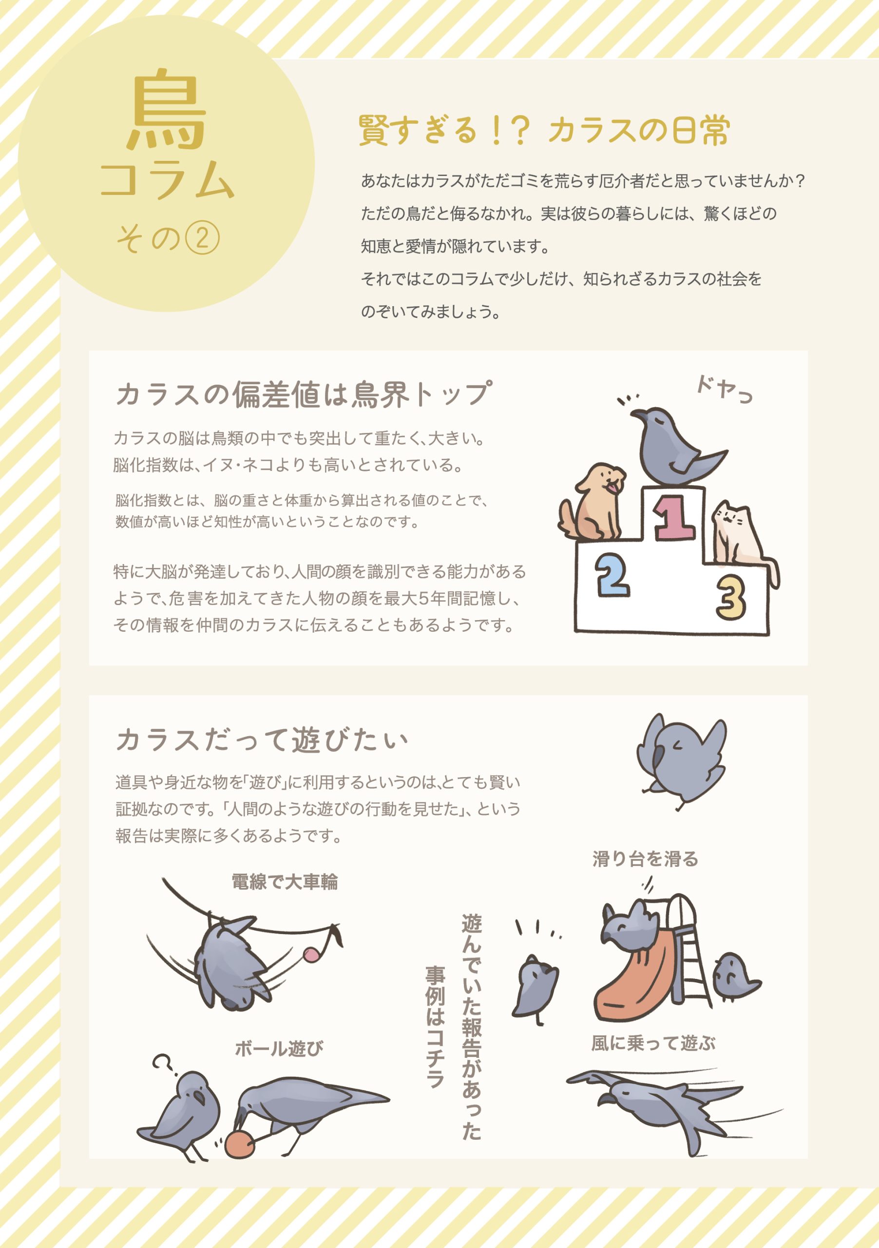 野鳥観察 ガイドブック