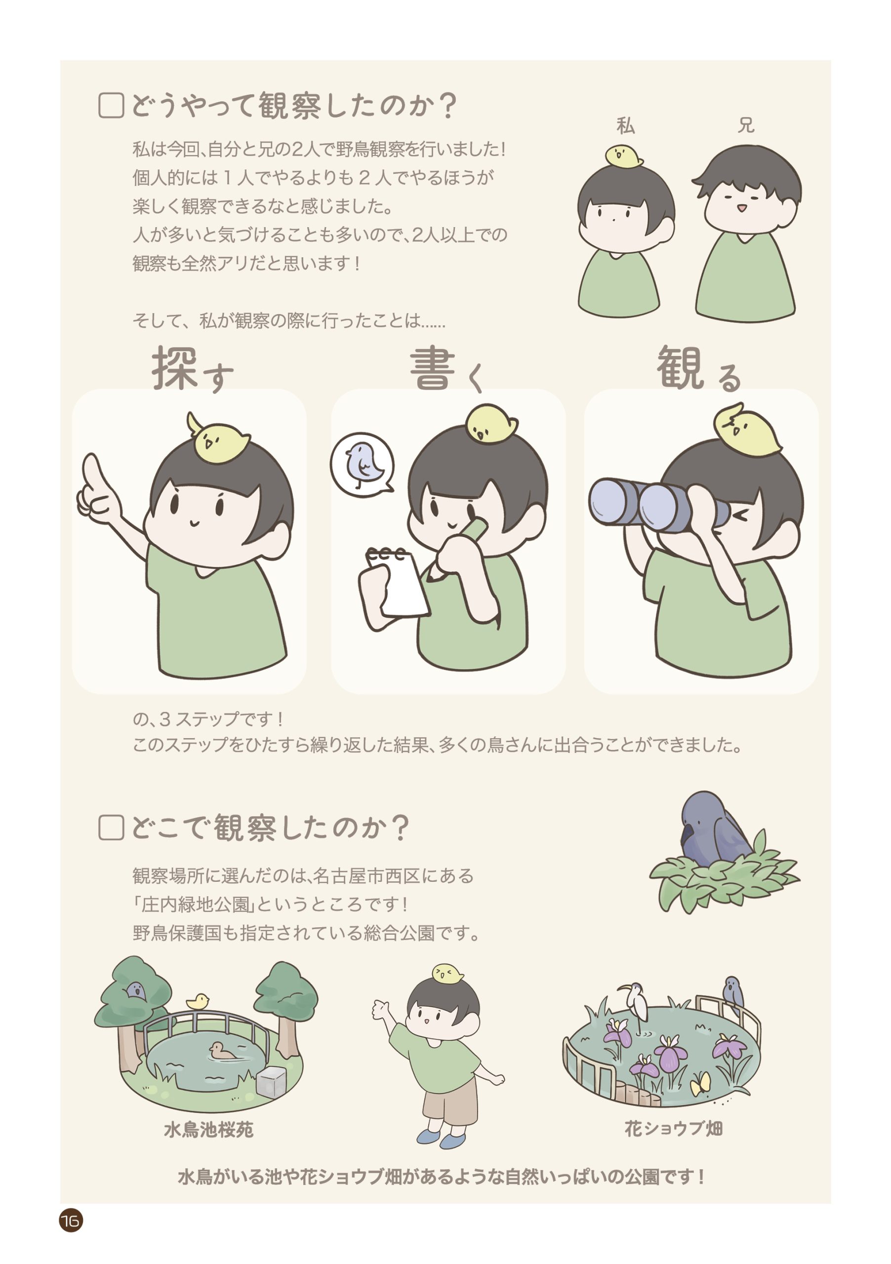 野鳥観察 ガイドブック