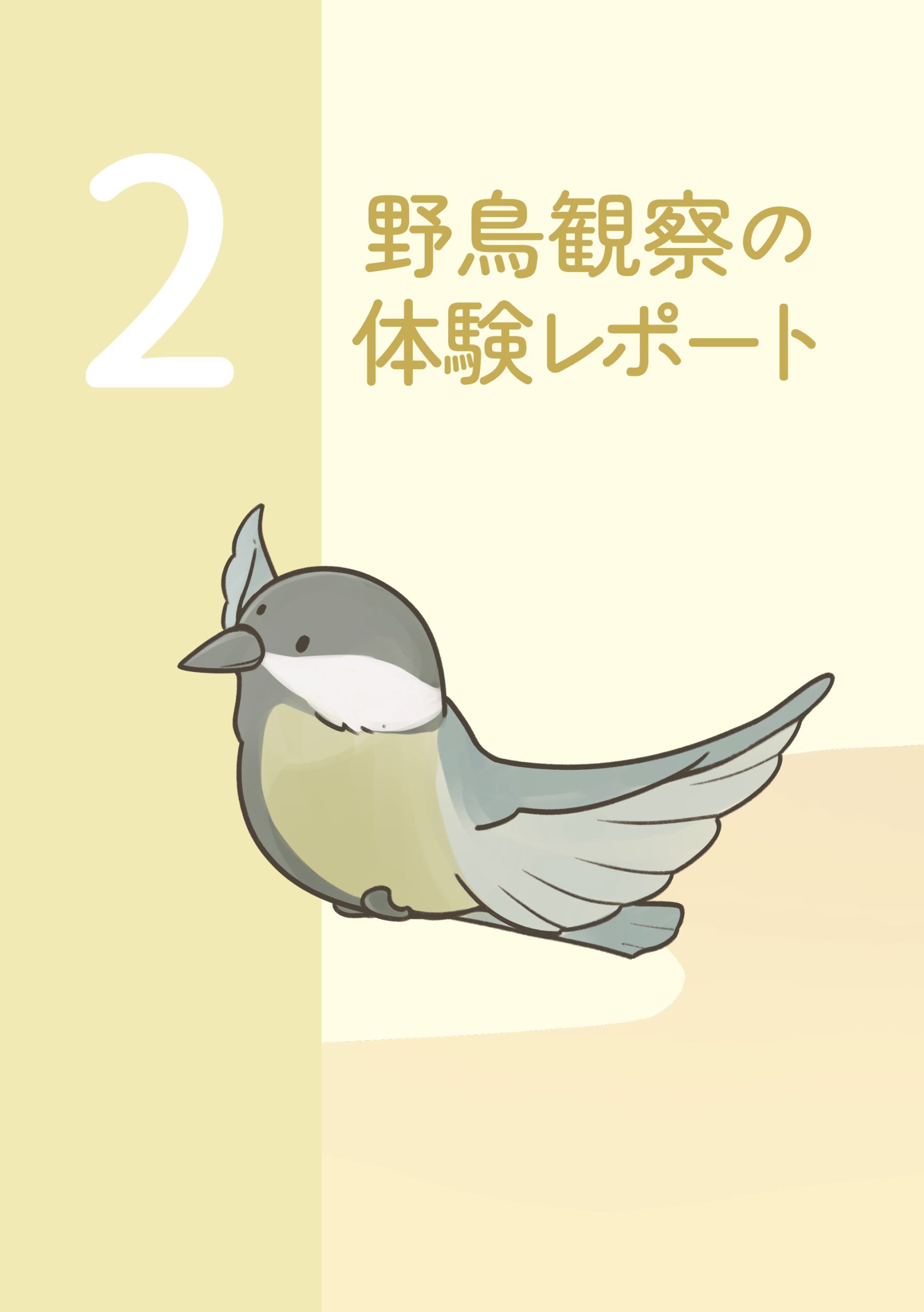 野鳥観察 ガイドブック