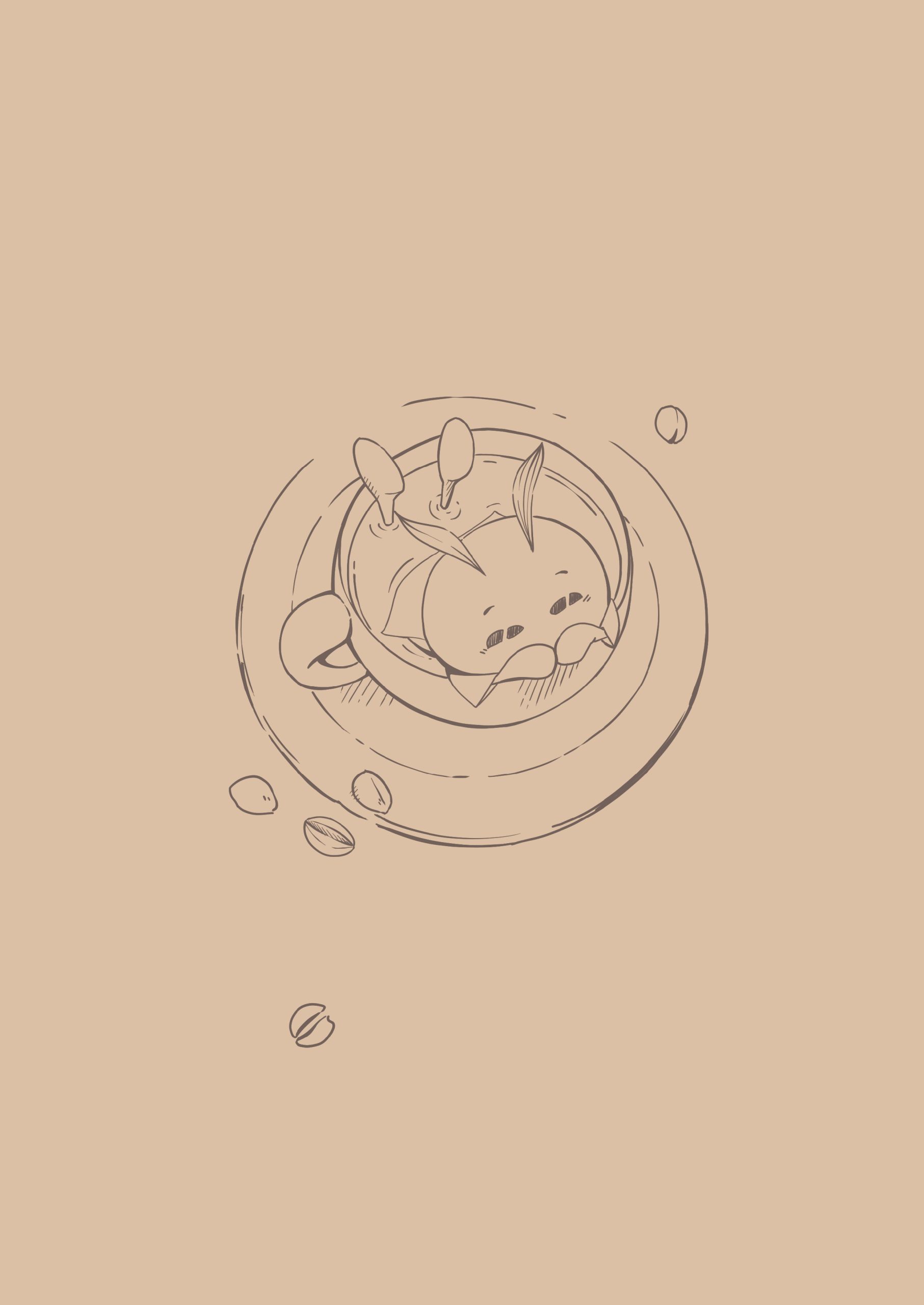 おうちで淹れる 珈琲の魅力