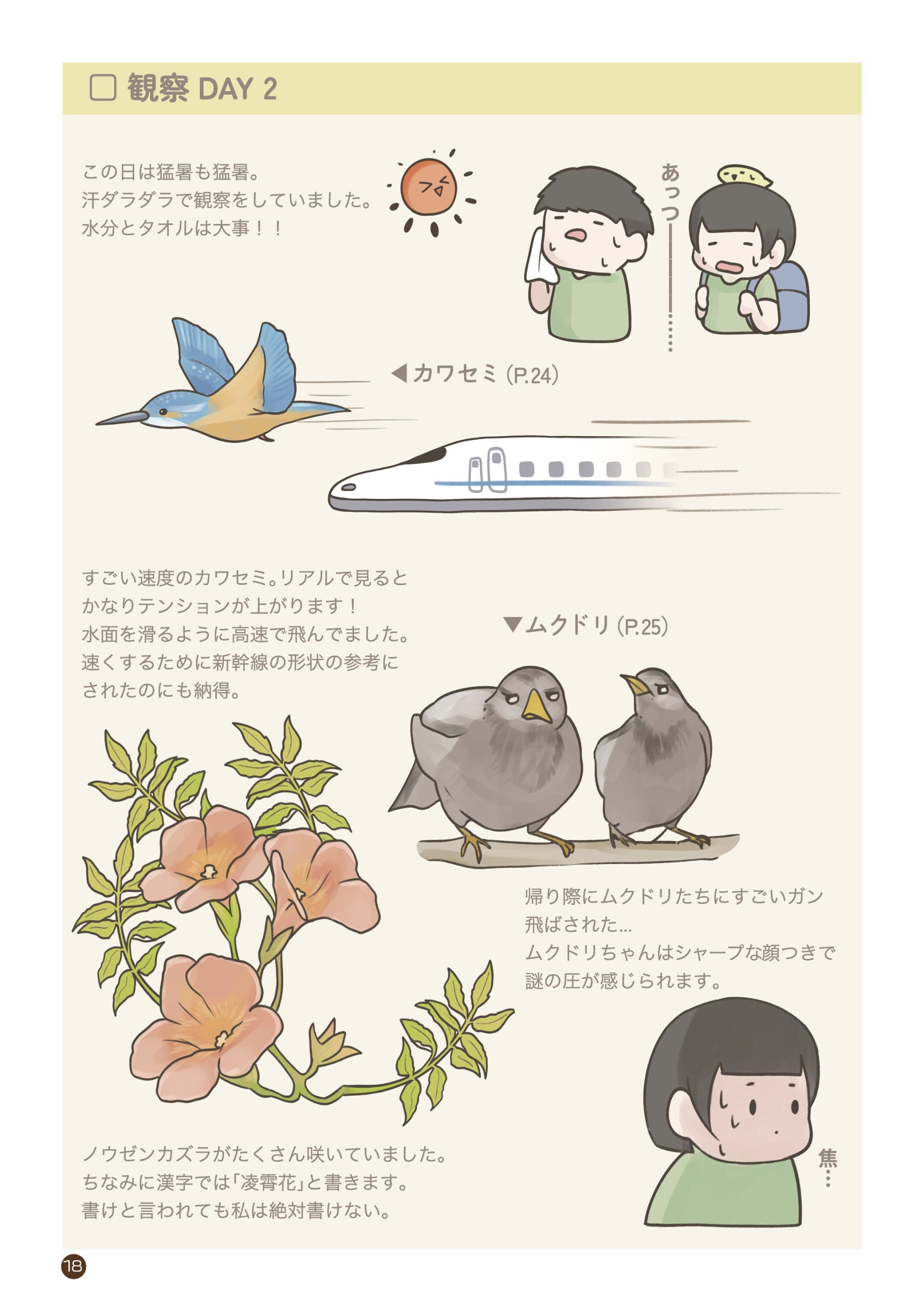 野鳥観察 ガイドブック