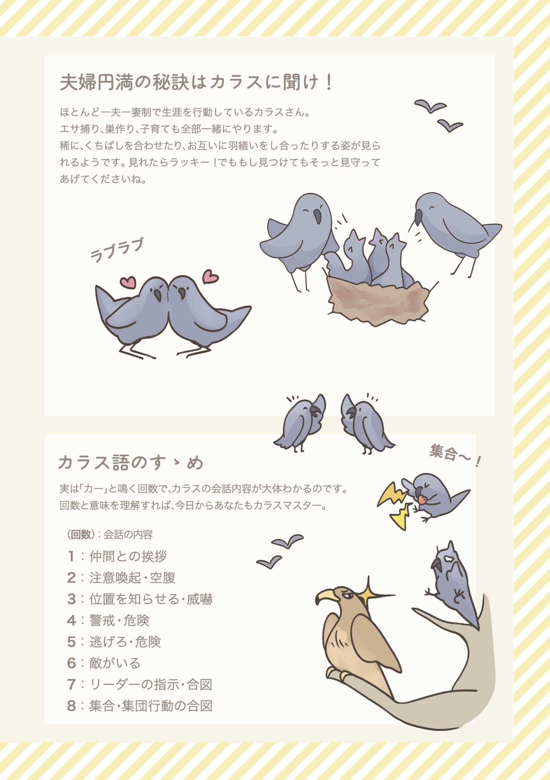 野鳥観察 ガイドブック