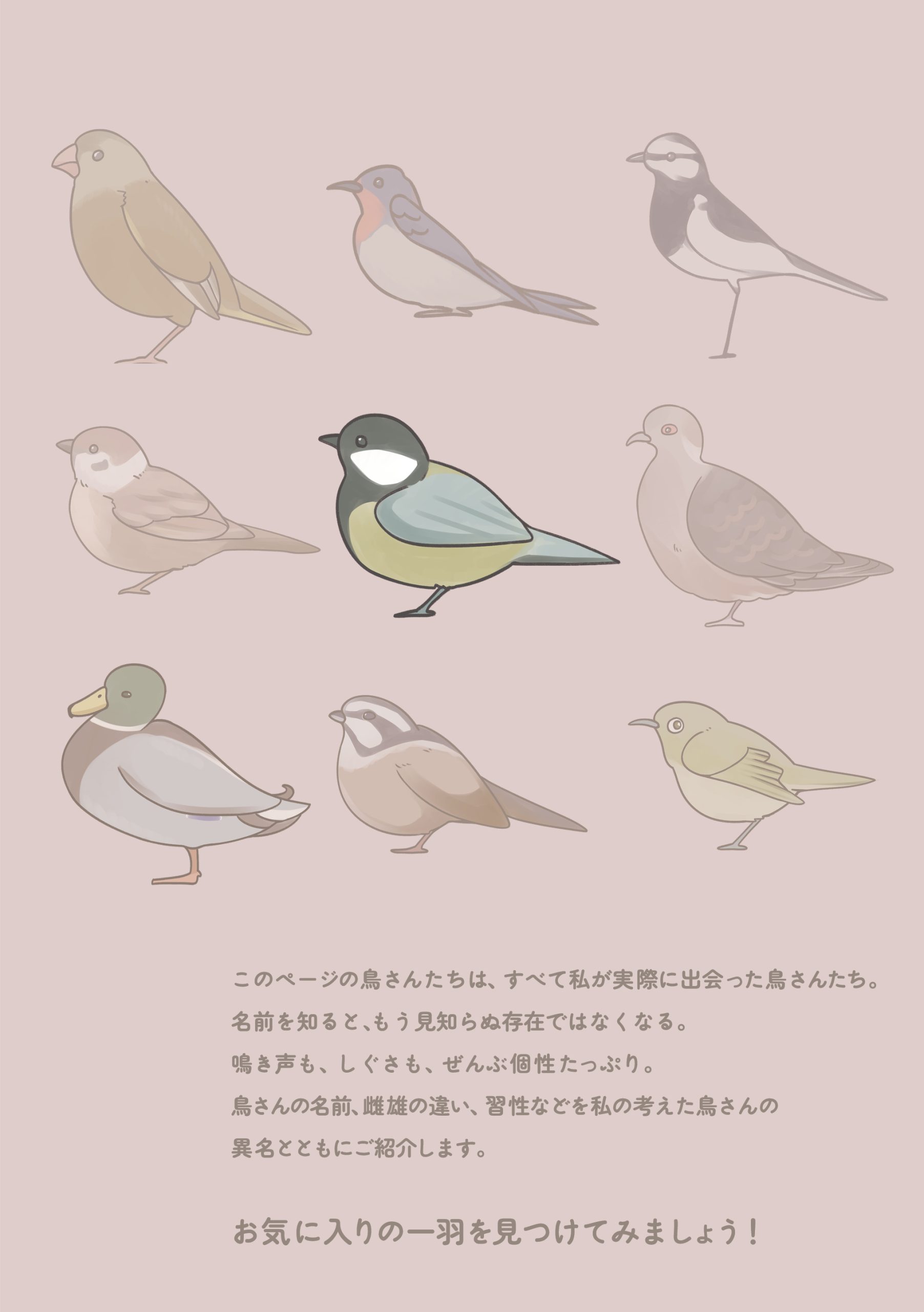 野鳥観察 ガイドブック